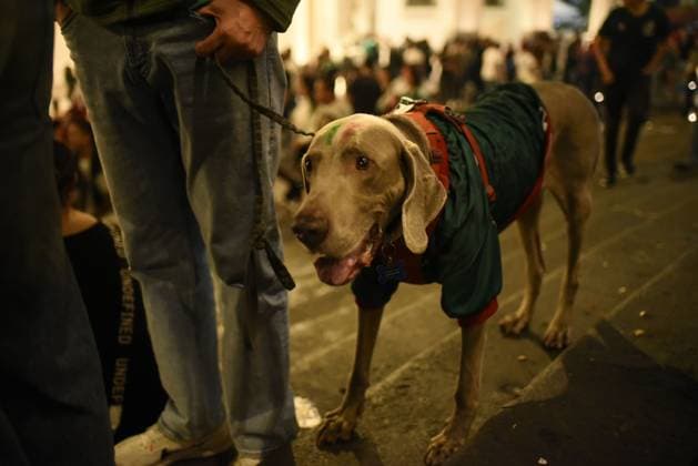 Mexican Fans React After World Cup Elimination by England XALAPA, VERACRUZ, MEXICO JULY 5, 2026: A dog wearing a Mexico national football team jersey sits among fans at Plaza Lerdo in Xalapa, Veracruz, during a public screening of Mexico™s FIFA World Cup, WM, Weltmeisterschaft, Fussball 2026 Round of 16 match against England. Xalapa, Veracruz MX Copyright: x xRolandoxRamosx xJNAxPressx