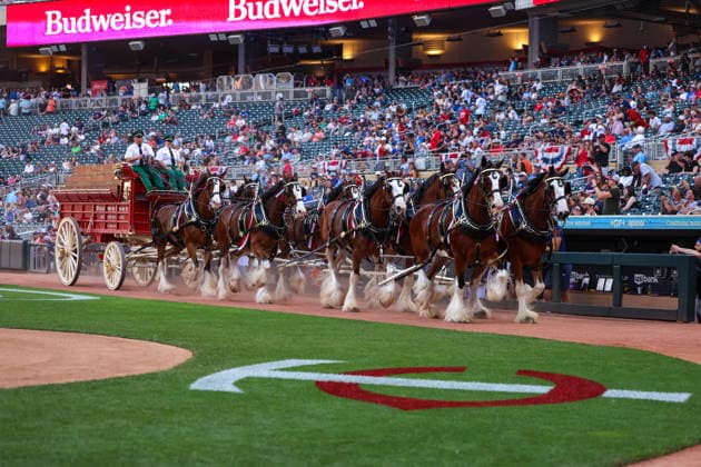 July 10th, 2026: The Budweiser Clydesdales make an appearance before a MLB, Baseball Herren, USA Baseball game between the Los Angeles Angels and the Minnesota Twins at Target Field in Minneapolis, Minnesota. CSM Minneapolis USA - ZUMAc04_ 20260710_zma_c04_025 Copyright: xStevenxGarciax