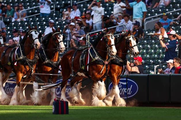 July 10th, 2026: The Budweiser Clydesdales make an appearance before a MLB, Baseball Herren, USA Baseball game between the Los Angeles Angels and the Minnesota Twins at Target Field in Minneapolis, Minnesota. CSM Minneapolis USA - ZUMAc04_ 20260710_zma_c04_030 Copyright: xStevenxGarciax