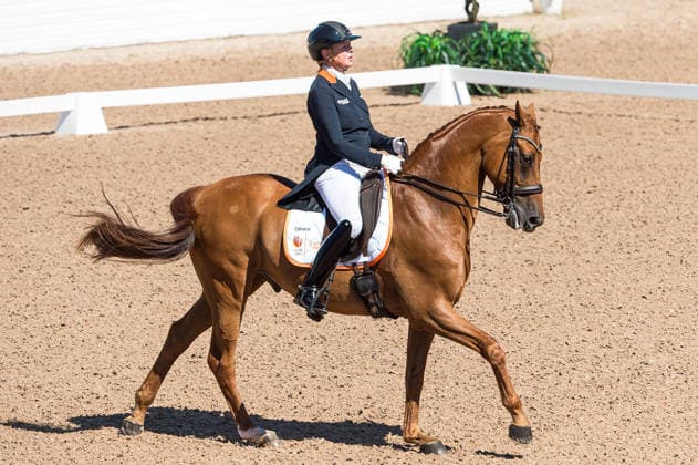 260711 Tosca Visser Van Der Meulen of Netherlands with horse Jackson competes in FEI Dressage Nations Cup Grand Prix during the Falsterbo Horse Show on July 11, 2026 in Falsterbo. Photo: Christian Örnberg BILDBYRAN COP 166 CO0710 ridsport equestrian falsterbo horse show ridsportlaget bbeng fei dressage nations cup grand prix *** July 11, 2026: Tosca Visser Van Der Meulen of the Netherlands, riding Jackson, competes in the FEI Dressage Nations Cup Grand Prix during the Falsterbo Horse Show on July 11, 2026 in Falsterbo. Photo by Christian Örnberg, BILDBYRAN COP 166 CO0710 equestrian sports Falsterbo Horse Show Ridsportlaget BBENG FEI Dressage Nations Cup Grand Prix  Copyright: CHRISTIANxÖRNBERG BB260711CO002