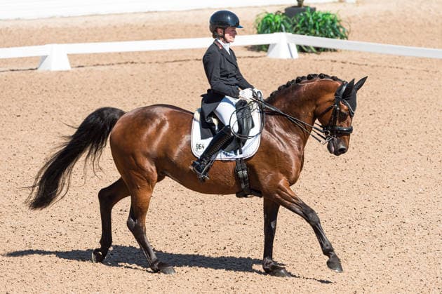 260711 Helen Langehanenberg of Germany with horse Daniela competes in FEI Dressage Nations Cup Grand Prix during the Falsterbo Horse Show on July 11, 2026 in Falsterbo. Photo: Christian Örnberg BILDBYRAN COP 166 CO0710 ridsport equestrian falsterbo horse show ridsportlaget bbeng fei dressage nations cup grand prixtyskland germany *** July 11, 2026: Helen Langehanenberg of Germany, riding her horse Daniela, competes in the FEI Dressage Nations Cup Grand Prix during the Falsterbo Horse Show on July 11, 2026 in Falsterbo. Photo by Christian Örnberg, BILDBYRAN COP 166 CO0710 equestrian sports Falsterbo Horse Show Ridsportlaget BBENG FEI Dressage Nations Cup Grand Prix Germany  Copyright: CHRISTIANxÖRNBERG BB260711CO006