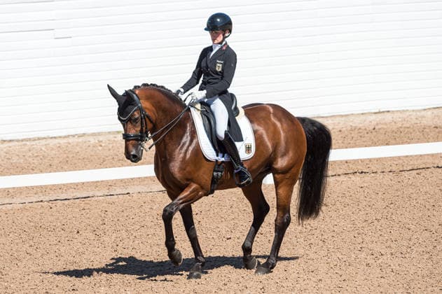 260711 Helen Langehanenberg of Germany with horse Daniela competes in FEI Dressage Nations Cup Grand Prix during the Falsterbo Horse Show on July 11, 2026 in Falsterbo. Photo: Christian Örnberg BILDBYRAN COP 166 CO0710 ridsport equestrian falsterbo horse show ridsportlaget bbeng fei dressage nations cup grand prixtyskland germany *** July 11, 2026: Helen Langehanenberg of Germany, riding her horse Daniela, competes in the FEI Dressage Nations Cup Grand Prix during the Falsterbo Horse Show on July 11, 2026 in Falsterbo. Photo by Christian Örnberg, BILDBYRAN COP 166 CO0710 equestrian sports Falsterbo Horse Show Ridsportlaget BBENG FEI Dressage Nations Cup Grand Prix Germany  Copyright: CHRISTIANxÖRNBERG BB260711CO007