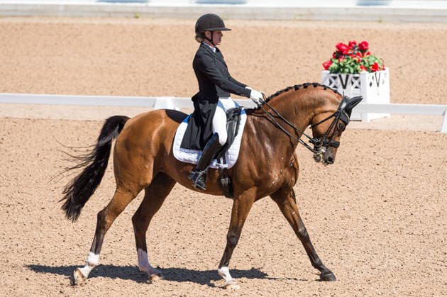 260711 Anna Zibrandtsen of Denmark with horse Quel Filou competes in FEI Dressage Nations Cup Grand Prix during the Falsterbo Horse Show on July 11, 2026 in Falsterbo. Photo: Christian Örnberg BILDBYRAN COP 166 CO0710 ridsport equestrian falsterbo horse show ridsportlaget bbeng fei dressage nations cup grand prixdanmark denmark *** July 11, 2026: Anna Zibrandtsen of Denmark, riding Quel Filou, competes in the FEI Dressage Nations Cup Grand Prix during the Falsterbo Horse Show on July 11, 2026 in Falsterbo. Photo by Christian Örnberg, BILDBYRAN COP 166 CO0710 equestrian sports Falsterbo Horse Show Ridsportlaget BBENG FEI Dressage Nations Cup Grand Prix Denmark  Copyright: CHRISTIANxÖRNBERG BB260711CO012