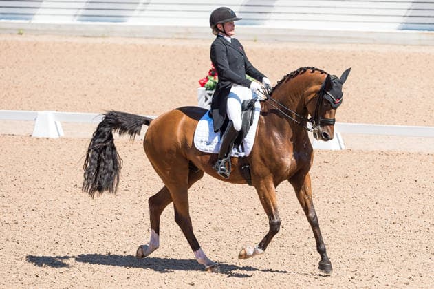 260711 Anna Zibrandtsen of Denmark with horse Quel Filou competes in FEI Dressage Nations Cup Grand Prix during the Falsterbo Horse Show on July 11, 2026 in Falsterbo. Photo: Christian Örnberg BILDBYRAN COP 166 CO0710 ridsport equestrian falsterbo horse show ridsportlaget bbeng fei dressage nations cup grand prixdanmark denmark *** July 11, 2026: Anna Zibrandtsen of Denmark, riding Quel Filou, competes in the FEI Dressage Nations Cup Grand Prix during the Falsterbo Horse Show on July 11, 2026 in Falsterbo. Photo by Christian Örnberg, BILDBYRAN COP 166 CO0710 equestrian sports Falsterbo Horse Show Ridsportlaget BBENG FEI Dressage Nations Cup Grand Prix Denmark  Copyright: CHRISTIANxÖRNBERG BB260711CO014