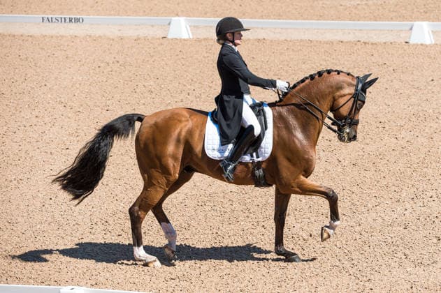 260711 Anna Zibrandtsen of Denmark with horse Quel Filou competes in FEI Dressage Nations Cup Grand Prix during the Falsterbo Horse Show on July 11, 2026 in Falsterbo. Photo: Christian Örnberg BILDBYRAN COP 166 CO0710 ridsport equestrian falsterbo horse show ridsportlaget bbeng fei dressage nations cup grand prixdanmark denmark *** July 11, 2026: Anna Zibrandtsen of Denmark, riding Quel Filou, competes in the FEI Dressage Nations Cup Grand Prix during the Falsterbo Horse Show on July 11, 2026 in Falsterbo. Photo by Christian Örnberg, BILDBYRAN COP 166 CO0710 equestrian sports Falsterbo Horse Show Ridsportlaget BBENG FEI Dressage Nations Cup Grand Prix Denmark  Copyright: CHRISTIANxÖRNBERG BB260711CO013