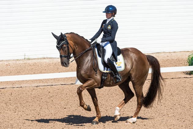 260711 Beata Söderberg of Sweden with horse Talento 4 competes in FEI Dressage Nations Cup Grand Prix during the Falsterbo Horse Show on July 11, 2026 in Falsterbo. Photo: Christian Örnberg BILDBYRAN COP 166 CO0710 ridsport equestrian falsterbo horse show ridsportlaget bbeng fei dressage nations cup grand prixsverige sweden *** July 11, 2026: Beata Söderberg of Sweden, riding Talento 4, competes in the FEI Dressage Nations Cup Grand Prix during the Falsterbo Horse Show on July 11, 2026 in Falsterbo. Photo by Christian Örnberg, BILDBYRAN COP 166 CO0710 equestrian sports Falsterbo Horse Show Ridsportlaget BBENG FEI Dressage Nations Cup Grand Prix Sweden  Copyright: CHRISTIANxÖRNBERG BB260711CO024