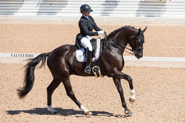 260711 Evelyn Eger of Germany with horse Global Power Old competes in FEI Dressage Nations Cup Grand Prix during the Falsterbo Horse Show on July 11, 2026 in Falsterbo. Photo: Christian Örnberg BILDBYRAN COP 166 CO0710 ridsport equestrian falsterbo horse show ridsportlaget bbeng fei dressage nations cup grand prixtyskland germany *** July 11, 2026: Evelyn Eger of Germany, riding Global Power Old, competes in the FEI Dressage Nations Cup Grand Prix during the Falsterbo Horse Show on July 11, 2026 in Falsterbo. Photo by Christian Örnberg, BILDBYRAN COP 166 CO0710 equestrian sports Falsterbo Horse Show Ridsportlaget BBENG FEI Dressage Nations Cup Grand Prix Germany  Copyright: CHRISTIANxÖRNBERG BB260711CO038