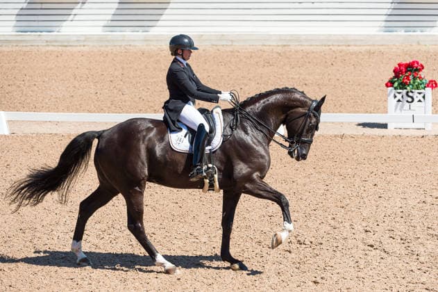 260711 Evelyn Eger of Germany with horse Global Power Old competes in FEI Dressage Nations Cup Grand Prix during the Falsterbo Horse Show on July 11, 2026 in Falsterbo. Photo: Christian Örnberg BILDBYRAN COP 166 CO0710 ridsport equestrian falsterbo horse show ridsportlaget bbeng fei dressage nations cup grand prixtyskland germany *** July 11, 2026: Evelyn Eger of Germany, riding Global Power Old, competes in the FEI Dressage Nations Cup Grand Prix during the Falsterbo Horse Show on July 11, 2026 in Falsterbo. Photo by Christian Örnberg, BILDBYRAN COP 166 CO0710 equestrian sports Falsterbo Horse Show Ridsportlaget BBENG FEI Dressage Nations Cup Grand Prix Germany  Copyright: CHRISTIANxÖRNBERG BB260711CO039