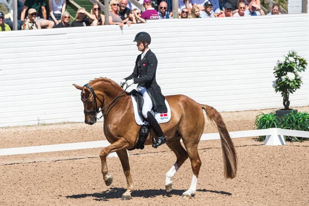 260711 Daniel Bachmann Andersen of Denmark with horse Flash Gordon 37 competes in FEI Dressage Nations Cup Grand Prix during the Falsterbo Horse Show on July 11, 2026 in Falsterbo. Photo: Christian Örnberg BILDBYRAN COP 166 CO0710 ridsport equestrian falsterbo horse show ridsportlaget bbeng fei dressage nations cup grand prixdanmark denmark *** July 11, 2026: Daniel Bachmann Andersen of Denmark, riding Flash Gordon 37, competes in the FEI Dressage Nations Cup Grand Prix during the Falsterbo Horse Show on July 11, 2026 in Falsterbo. Photo by Christian Örnberg, BILDBYRAN COP 166 CO0710 equestrian sports Falsterbo Horse Show Ridsportlaget BBENG FEI Dressage Nations Cup Grand Prix Denmark  Copyright: CHRISTIANxÖRNBERG BB260711CO046