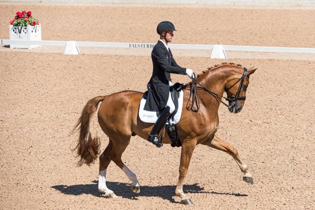 260711 Daniel Bachmann Andersen of Denmark with horse Flash Gordon 37 competes in FEI Dressage Nations Cup Grand Prix during the Falsterbo Horse Show on July 11, 2026 in Falsterbo. Photo: Christian Örnberg BILDBYRAN COP 166 CO0710 ridsport equestrian falsterbo horse show ridsportlaget bbeng fei dressage nations cup grand prixdanmark denmark *** July 11, 2026: Daniel Bachmann Andersen of Denmark, riding Flash Gordon 37, competes in the FEI Dressage Nations Cup Grand Prix during the Falsterbo Horse Show on July 11, 2026 in Falsterbo. Photo by Christian Örnberg, BILDBYRAN COP 166 CO0710 equestrian sports Falsterbo Horse Show Ridsportlaget BBENG FEI Dressage Nations Cup Grand Prix Denmark  Copyright: CHRISTIANxÖRNBERG BB260711CO048