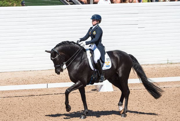 260711 Therese Nilshagen of Sweden with horse Navarro competes in FEI Dressage Nations Cup Grand Prix during the Falsterbo Horse Show on July 11, 2026 in Falsterbo. Photo: Christian Örnberg BILDBYRAN COP 166 CO0710 ridsport equestrian falsterbo horse show ridsportlaget bbeng fei dressage nations cup grand prixsverige sweden *** July 11, 2026: Therese Nilshagen of Sweden, riding Navarro, competes in the FEI Dressage Nations Cup Grand Prix during the Falsterbo Horse Show on July 11, 2026 in Falsterbo. Photo by Christian Örnberg, BILDBYRAN COP 166 CO0710 equestrian sports Falsterbo Horse Show Ridsportlaget BBENG FEI Dressage Nations Cup Grand Prix Sweden  Copyright: CHRISTIANxÖRNBERG BB260711CO059