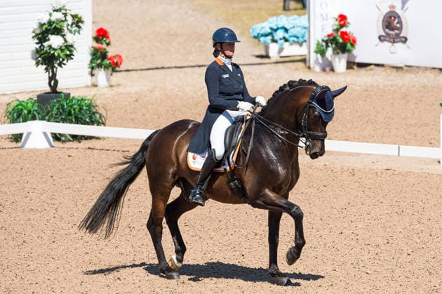 260711 Marsja Dijkman of Netherlands with horse Beaujolais competes in FEI Dressage Nations Cup Grand Prix during the Falsterbo Horse Show on July 11, 2026 in Falsterbo. Photo: Christian Örnberg BILDBYRAN COP 166 CO0710 ridsport equestrian falsterbo horse show ridsportlaget bbeng fei dressage nations cup grand prix *** July 11, 2026: Marsja Dijkman of the Netherlands, riding Beaujolais, competes in the FEI Dressage Nations Cup Grand Prix during the Falsterbo Horse Show on July 11, 2026 in Falsterbo. Photo by Christian Örnberg, BILDBYRAN COP 166 CO0710 equestrian sports Falsterbo Horse Show Ridsportlaget BBENG FEI Dressage Nations Cup Grand Prix  Copyright: CHRISTIANxÖRNBERG BB260711CO064
