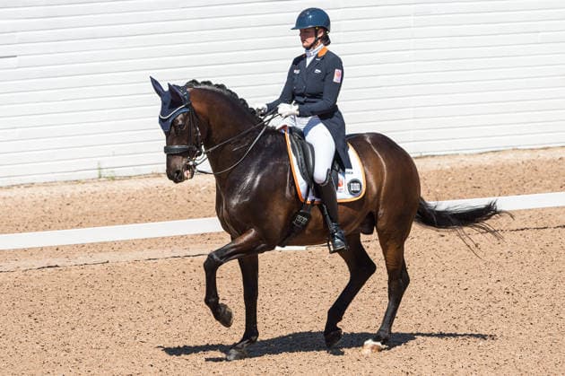 260711 Marsja Dijkman of Netherlands with horse Beaujolais competes in FEI Dressage Nations Cup Grand Prix during the Falsterbo Horse Show on July 11, 2026 in Falsterbo. Photo: Christian Örnberg BILDBYRAN COP 166 CO0710 ridsport equestrian falsterbo horse show ridsportlaget bbeng fei dressage nations cup grand prix *** July 11, 2026: Marsja Dijkman of the Netherlands, riding Beaujolais, competes in the FEI Dressage Nations Cup Grand Prix during the Falsterbo Horse Show on July 11, 2026 in Falsterbo. Photo by Christian Örnberg, BILDBYRAN COP 166 CO0710 equestrian sports Falsterbo Horse Show Ridsportlaget BBENG FEI Dressage Nations Cup Grand Prix  Copyright: CHRISTIANxÖRNBERG BB260711CO065