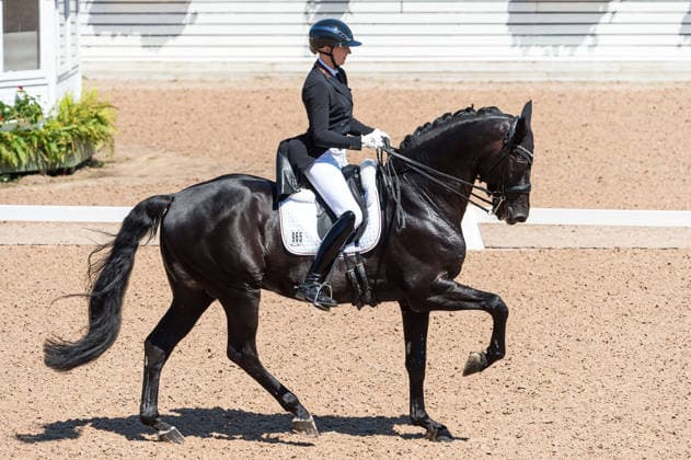 260711 Leonie Richter of Germany with horse Lord Europe competes in FEI Dressage Nations Cup Grand Prix during the Falsterbo Horse Show on July 11, 2026 in Falsterbo. Photo: Christian Örnberg BILDBYRAN COP 166 CO0710 ridsport equestrian falsterbo horse show ridsportlaget bbeng fei dressage nations cup grand prixtyskland germany *** July 11, 2026: Leonie Richter of Germany, riding Lord Europe, competes in the FEI Dressage Nations Cup Grand Prix during the Falsterbo Horse Show on July 11, 2026 in Falsterbo. Photo by Christian Örnberg, BILDBYRAN COP 166 CO0710 equestrian sports Falsterbo Horse Show Ridsportlaget BBENG FEI Dressage Nations Cup Grand Prix Germany  Copyright: CHRISTIANxÖRNBERG BB260711CO067