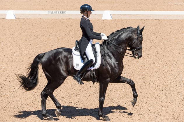 260711 Leonie Richter of Germany with horse Lord Europe competes in FEI Dressage Nations Cup Grand Prix during the Falsterbo Horse Show on July 11, 2026 in Falsterbo. Photo: Christian Örnberg BILDBYRAN COP 166 CO0710 ridsport equestrian falsterbo horse show ridsportlaget bbeng fei dressage nations cup grand prixtyskland germany *** July 11, 2026: Leonie Richter of Germany, riding Lord Europe, competes in the FEI Dressage Nations Cup Grand Prix during the Falsterbo Horse Show on July 11, 2026 in Falsterbo. Photo by Christian Örnberg, BILDBYRAN COP 166 CO0710 equestrian sports Falsterbo Horse Show Ridsportlaget BBENG FEI Dressage Nations Cup Grand Prix Germany  Copyright: CHRISTIANxÖRNBERG BB260711CO073