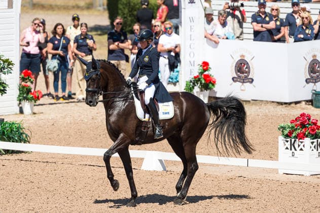 260711 Anita Roslund of Sweden with horse Fontanell competes in FEI Dressage Nations Cup Grand Prix during the Falsterbo Horse Show on July 11, 2026 in Falsterbo. Photo: Christian Örnberg BILDBYRAN COP 166 CO0710 ridsport equestrian falsterbo horse show ridsportlaget bbeng fei dressage nations cup grand prixsverige sweden *** July 11, 2026: Anita Roslund of Sweden, riding Fontanell, competes in the FEI Dressage Nations Cup Grand Prix during the Falsterbo Horse Show on July 11, 2026 in Falsterbo. Photo by Christian Örnberg, BILDBYRAN COP 166 CO0710 equestrian sports Falsterbo Horse Show Ridsportlaget BBENG FEI Dressage Nations Cup Grand Prix Sweden  Copyright: CHRISTIANxÖRNBERG BB260711CO087