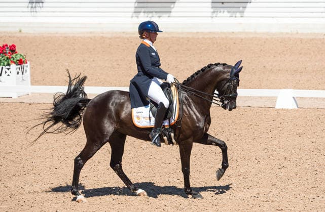 260711 Marie-JosÃ Calis of Netherlands with horse Limited Edition competes in FEI Dressage Nations Cup Grand Prix during the Falsterbo Horse Show on July 11, 2026 in Falsterbo. Photo: Christian Örnberg BILDBYRAN COP 166 CO0710 ridsport equestrian falsterbo horse show ridsportlaget bbeng fei dressage nations cup grand prix *** July 11, 2026: Marie Josà Calis of the Netherlands, riding the horse Limited Edition, competes in the FEI Dressage Nations Cup Grand Prix during the Falsterbo Horse Show on July 11, 2026 in Falsterbo. Photo by Christian Örnberg, BILDBYRAN COP 166 CO0710 equestrian sports Falsterbo Horse Show Ridsportlaget BBENG FEI Dressage Nations Cup Grand Prix  Copyright: CHRISTIANxÖRNBERG BB260711CO090