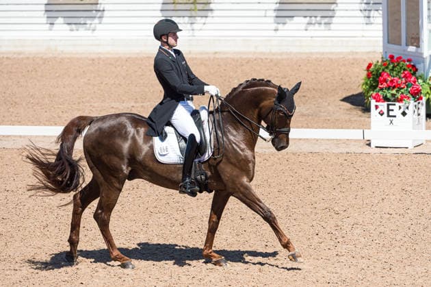 260711 Moritz Treffinger of Germany with horse Fiderdance competes in FEI Dressage Nations Cup Grand Prix during the Falsterbo Horse Show on July 11, 2026 in Falsterbo. Photo: Christian Örnberg BILDBYRAN COP 166 CO0710 ridsport equestrian falsterbo horse show ridsportlaget bbeng fei dressage nations cup grand prixtyskland germany *** July 11, 2026: Moritz Treffinger of Germany, riding Fiderdance, competes in the FEI Dressage Nations Cup Grand Prix during the Falsterbo Horse Show on July 11, 2026 in Falsterbo. Photo by Christian Örnberg. BILDBYRAN COP 166 CO0710 equestrian sports Falsterbo Horse Show Ridsportlaget BBENG FEI Dressage Nations Cup Grand Prix Germany  Copyright: CHRISTIANxÖRNBERG BB260711CO093