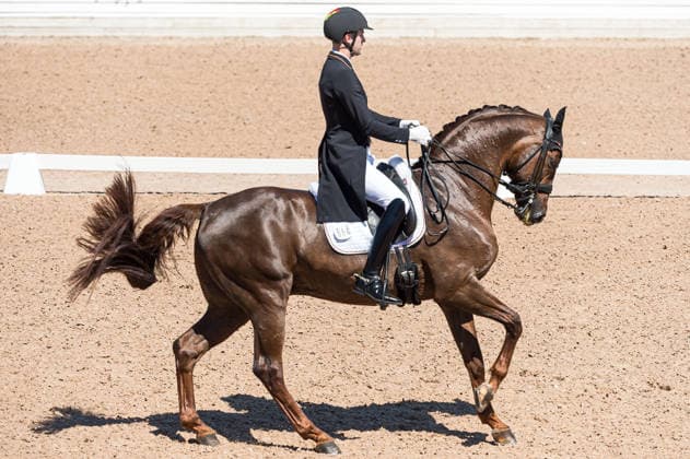 260711 Moritz Treffinger of Germany with horse Fiderdance competes in FEI Dressage Nations Cup Grand Prix during the Falsterbo Horse Show on July 11, 2026 in Falsterbo. Photo: Christian Örnberg BILDBYRAN COP 166 CO0710 ridsport equestrian falsterbo horse show ridsportlaget bbeng fei dressage nations cup grand prixtyskland germany *** July 11, 2026: Moritz Treffinger of Germany, riding Fiderdance, competes in the FEI Dressage Nations Cup Grand Prix during the Falsterbo Horse Show on July 11, 2026 in Falsterbo. Photo by Christian Örnberg. BILDBYRAN COP 166 CO0710 equestrian sports Falsterbo Horse Show Ridsportlaget BBENG FEI Dressage Nations Cup Grand Prix Germany  Copyright: CHRISTIANxÖRNBERG BB260711CO094