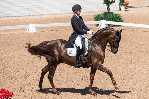 260711 Moritz Treffinger of Germany with horse Fiderdance competes in FEI Dressage Nations Cup Grand Prix during the Falsterbo Horse Show on July 11, 2026 in Falsterbo. Photo: Christian Örnberg BILDBYRAN COP 166 CO0710 ridsport equestrian falsterbo horse show ridsportlaget bbeng fei dressage nations cup grand prixtyskland germany *** July 11, 2026: Moritz Treffinger of Germany, riding Fiderdance, competes in the FEI Dressage Nations Cup Grand Prix during the Falsterbo Horse Show on July 11, 2026 in Falsterbo. Photo by Christian Örnberg, BILDBYRAN COP 166 CO0710 equestrian sports Falsterbo Horse Show Ridsportlaget BBENG FEI Dressage Nations Cup Grand Prix Germany  Copyright: CHRISTIANxÖRNBERG BB260711CO095