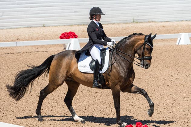 260711 Cathrine Laudrup-Dufour of Denmark with horse Mount St John Freestyle competes in FEI Dressage Nations Cup Grand Prix during the Falsterbo Horse Show on July 11, 2026 in Falsterbo. Photo: Christian Örnberg BILDBYRAN COP 166 CO0710 ridsport equestrian falsterbo horse show ridsportlaget bbeng fei dressage nations cup grand prixdanmark denmark *** July 11, 2026: Cathrine Laudrup Dufour of Denmark, riding Mount St. John Freestyle, competes in the FEI Dressage Nations Cup Grand Prix during the Falsterbo Horse Show on July 11, 2026 in Falsterbo. Photo by Christian Örnberg, BILDBYRAN COP 166 CO0710 equestrian sports Falsterbo Horse Show Ridsportlaget BBENG FEI Dressage Nations Cup Grand Prix Denmark  Copyright: CHRISTIANxÖRNBERG BB260711CO102