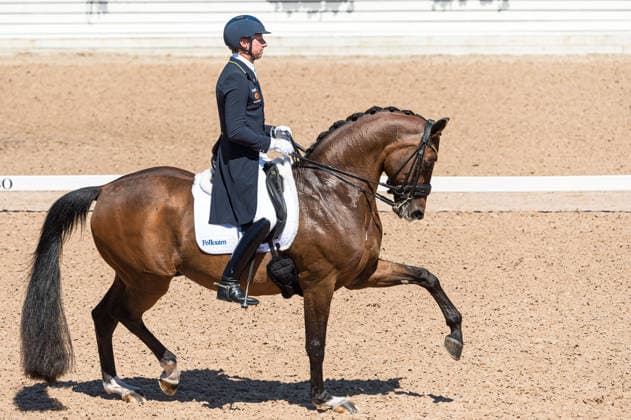 260711 Patrik Kittel of Sweden with horse Touchdown competes in FEI Dressage Nations Cup Grand Prix during the Falsterbo Horse Show on July 11, 2026 in Falsterbo. Photo: Christian Örnberg BILDBYRAN COP 166 CO0710 ridsport equestrian falsterbo horse show ridsportlaget bbeng fei dressage nations cup grand prixsverige sweden *** July 11, 2026: Patrik Kittel of Sweden, riding Touchdown, competes in the FEI Dressage Nations Cup Grand Prix during the Falsterbo Horse Show on July 11, 2026 in Falsterbo. Photo by Christian Örnberg, BILDBYRAN COP 166 CO0710 equestrian sports Falsterbo Horse Show Ridsportlaget BBENG FEI Dressage Nations Cup Grand Prix Sweden  Copyright: CHRISTIANxÖRNBERG BB260711CO105