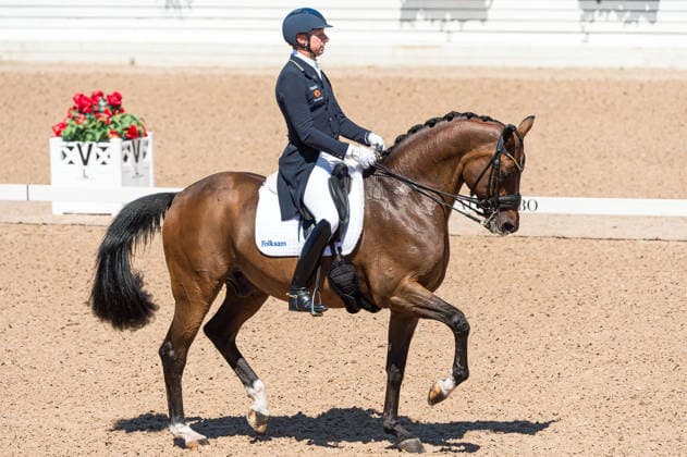 260711 Patrik Kittel of Sweden with horse Touchdown competes in FEI Dressage Nations Cup Grand Prix during the Falsterbo Horse Show on July 11, 2026 in Falsterbo. Photo: Christian Örnberg BILDBYRAN COP 166 CO0710 ridsport equestrian falsterbo horse show ridsportlaget bbeng fei dressage nations cup grand prixsverige sweden *** July 11, 2026: Patrik Kittel of Sweden, riding Touchdown, competes in the FEI Dressage Nations Cup Grand Prix during the Falsterbo Horse Show on July 11, 2026 in Falsterbo. Photo by Christian Örnberg, BILDBYRAN COP 166 CO0710 equestrian sports Falsterbo Horse Show Ridsportlaget BBENG FEI Dressage Nations Cup Grand Prix Sweden  Copyright: CHRISTIANxÖRNBERG BB260711CO106