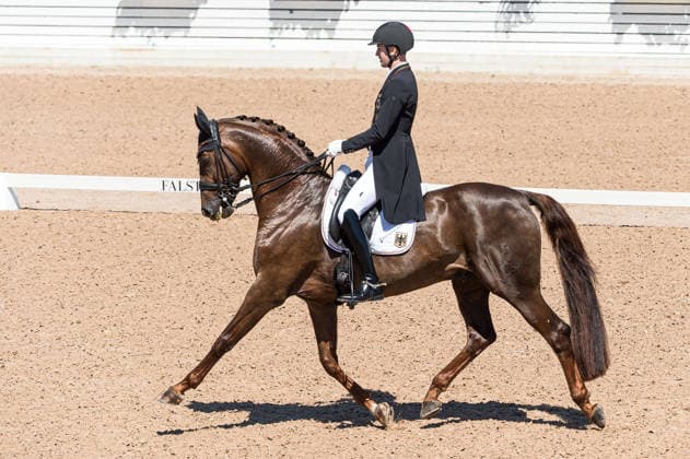 260711 Moritz Treffinger of Germany with horse Fiderdance competes in FEI Dressage Nations Cup Grand Prix during the Falsterbo Horse Show on July 11, 2026 in Falsterbo. Photo: Christian Örnberg BILDBYRAN COP 166 CO0710 ridsport equestrian falsterbo horse show ridsportlaget bbeng fei dressage nations cup grand prixtyskland germany *** July 11, 2026: Moritz Treffinger of Germany, riding Fiderdance, competes in the FEI Dressage Nations Cup Grand Prix during the Falsterbo Horse Show on July 11, 2026 in Falsterbo. Photo by Christian Örnberg. BILDBYRAN COP 166 CO0710 equestrian sports Falsterbo Horse Show Ridsportlaget BBENG FEI Dressage Nations Cup Grand Prix Germany  Copyright: CHRISTIANxÖRNBERG BB260711CO125