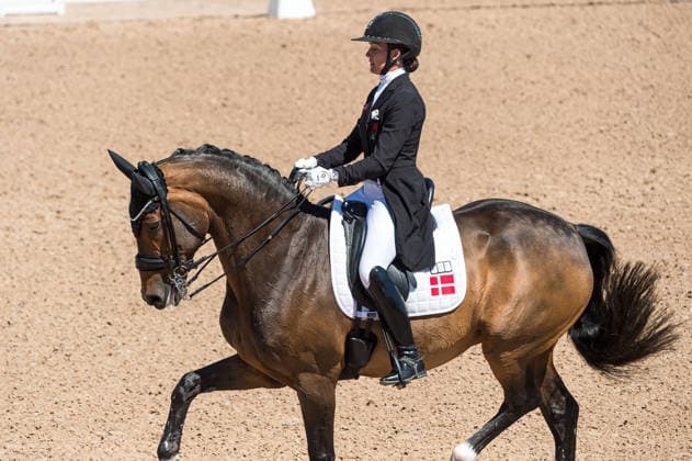 260711 Cathrine Laudrup-Dufour of Denmark with horse Mount St John Freestyle competes in FEI Dressage Nations Cup Grand Prix during the Falsterbo Horse Show on July 11, 2026 in Falsterbo. Photo: Christian Örnberg BILDBYRAN COP 166 CO0710 ridsport equestrian falsterbo horse show ridsportlaget bbeng fei dressage nations cup grand prixdanmark denmark *** July 11, 2026: Cathrine Laudrup Dufour of Denmark, riding Mount St. John Freestyle, competes in the FEI Dressage Nations Cup Grand Prix during the Falsterbo Horse Show on July 11, 2026 in Falsterbo. Photo by Christian Örnberg, BILDBYRAN COP 166 CO0710 equestrian sports Falsterbo Horse Show Ridsportlaget BBENG FEI Dressage Nations Cup Grand Prix Denmark  Copyright: CHRISTIANxÖRNBERG BB260711CO129
