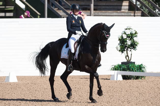 260712 Anita Roslund of Sweden with horse Fontanell competes in FEI Grand Prix Special during the Falsterbo Horse Show on July 12, 2026 in Falsterbo. Photo: Christian Örnberg BILDBYRAN COP 166 CO0712 ridsport equestrian falsterbo horse show ridsportlaget bbeng fei grand prix specialsverige sweden *** July 12, 2026: Anita Roslund of Sweden, riding Fontanell, competes in the FEI Grand Prix Special during the Falsterbo Horse Show on July 12, 2026 in Falsterbo. Photo by Christian Örnberg, BILDBYRAN COP 166 CO0712 equestrian sports Falsterbo Horse Show Ridsportlaget BBENG FEI Grand Prix Special Sweden  Copyright: CHRISTIANxÖRNBERG BB260712CO004