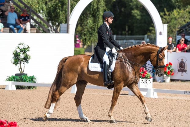 260712 Daniel Bachmann Andersen of Denmark with horse Flash Gordon 37 competes in FEI Grand Prix Special during the Falsterbo Horse Show on July 12, 2026 in Falsterbo. Photo: Christian Örnberg BILDBYRAN COP 166 CO0712 ridsport equestrian falsterbo horse show ridsportlaget bbeng fei grand prix specialdanmark denmark *** July 12, 2026: Daniel Bachmann Andersen of Denmark, riding Flash Gordon 37, competes in the FEI Grand Prix Special during the Falsterbo Horse Show on July 12, 2026 in Falsterbo. Photo by Christian Örnberg, BILDBYRAN COP 166 CO0712 equestrian sports Falsterbo Horse Show Ridsportlaget BBENG FEI Grand Prix Special Denmark  Copyright: CHRISTIANxÖRNBERG BB260712CO037