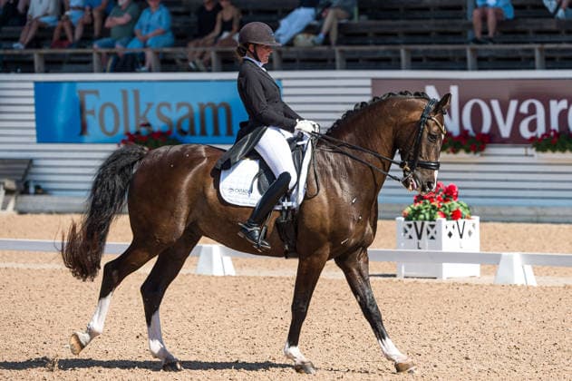 260712 Nadja Aaboe Sloth of Denmark with horse Favour Gersdorf competes in FEI Grand Prix Special during the Falsterbo Horse Show on July 12, 2026 in Falsterbo. Photo: Christian Örnberg BILDBYRAN COP 166 CO0712 ridsport equestrian falsterbo horse show ridsportlaget bbeng fei grand prix specialdanmark denmark *** July 12, 2026: Nadja Aaboe Sloth of Denmark, riding Favour Gersdorf, competes in the FEI Grand Prix Special during the Falsterbo Horse Show on July 12, 2026 in Falsterbo. Photo by Christian Örnberg, BILDBYRAN COP 166 CO0712 equestrian sports Falsterbo Horse Show Ridsportlaget BBENG FEI Grand Prix Special Denmark  Copyright: CHRISTIANxÖRNBERG BB260712CO042