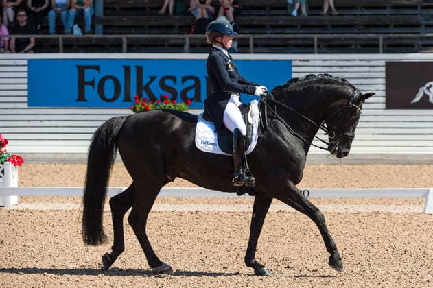260712 Therese Nilshagen of Sweden with horse Navarro competes in FEI Grand Prix Special during the Falsterbo Horse Show on July 12, 2026 in Falsterbo. Photo: Christian Örnberg BILDBYRAN COP 166 CO0712 ridsport equestrian falsterbo horse show ridsportlaget bbeng fei grand prix specialsverige sweden *** July 12, 2026: Therese Nilshagen of Sweden, riding Navarro, competes in the FEI Grand Prix Special during the Falsterbo Horse Show on July 12, 2026 in Falsterbo. Photo by Christian Örnberg, BILDBYRAN COP 166 CO0712 equestrian sports Falsterbo Horse Show Ridsportlaget BBENG FEI Grand Prix Special Sweden  Copyright: CHRISTIANxÖRNBERG BB260712CO046