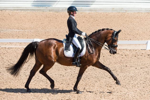 260712 Helen Langehanenberg of Germany with horse Daniela competes in FEI Grand Prix Kür during the Falsterbo Horse Show on July 12, 2026 in Falsterbo. Photo: Christian Örnberg BILDBYRAN COP 166 CO0712 ridsport equestrian falsterbo horse show ridsportlaget bbeng fei grand prix kürtyskland germany *** July 12, 2026: Helen Langehanenberg of Germany, riding her horse Daniela, competes in the FEI Grand Prix Kür during the Falsterbo Horse Show on July 12, 2026 in Falsterbo. Photo by Christian Örnberg, BILDBYRAN COP 166 CO0712 equestrian sports Falsterbo Horse Show Ridsportlaget BBENG FEI Grand Prix Kür Germany  Copyright: CHRISTIANxÖRNBERG BB260712CO052