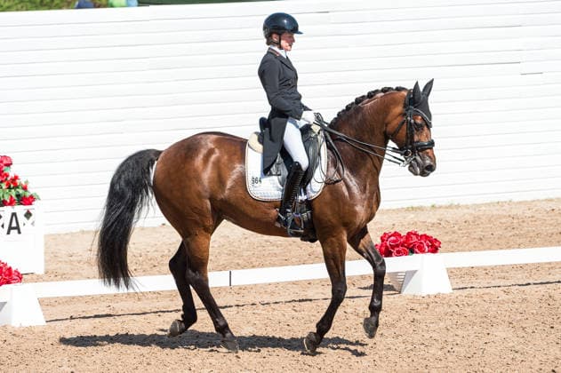 260712 Helen Langehanenberg of Germany with horse Daniela competes in FEI Grand Prix Kür during the Falsterbo Horse Show on July 12, 2026 in Falsterbo. Photo: Christian Örnberg BILDBYRAN COP 166 CO0712 ridsport equestrian falsterbo horse show ridsportlaget bbeng fei grand prix kürtyskland germany *** July 12, 2026: Helen Langehanenberg of Germany, riding her horse Daniela, competes in the FEI Grand Prix Kür during the Falsterbo Horse Show on July 12, 2026 in Falsterbo. Photo by Christian Örnberg, BILDBYRAN COP 166 CO0712 equestrian sports Falsterbo Horse Show Ridsportlaget BBENG FEI Grand Prix Kür Germany  Copyright: CHRISTIANxÖRNBERG BB260712CO053