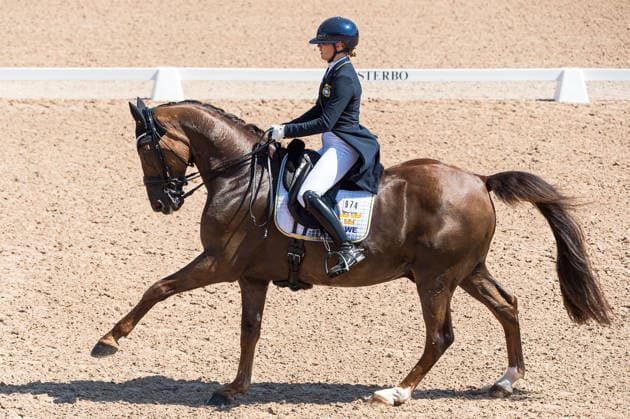 260712 Beata Söderberg of Sweden with horse Talento 4 competes in FEI Grand Prix Kür during the Falsterbo Horse Show on July 12, 2026 in Falsterbo. Photo: Christian Örnberg BILDBYRAN COP 166 CO0712 ridsport equestrian falsterbo horse show ridsportlaget bbeng fei grand prix kürsverige sweden *** July 12, 2026: Beata Söderberg of Sweden, riding Talento 4, competes in the FEI Grand Prix Kür during the Falsterbo Horse Show on July 12, 2026 in Falsterbo. Photo by Christian Örnberg, BILDBYRAN COP 166 CO0712 equestrian sports Falsterbo Horse Show Ridsportlaget BBENG FEI Grand Prix Kür Sweden  Copyright: CHRISTIANxÖRNBERG BB260712CO056