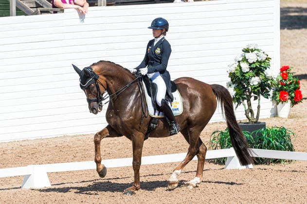 260712 Beata Söderberg of Sweden with horse Talento 4 competes in FEI Grand Prix Kür during the Falsterbo Horse Show on July 12, 2026 in Falsterbo. Photo: Christian Örnberg BILDBYRAN COP 166 CO0712 ridsport equestrian falsterbo horse show ridsportlaget bbeng fei grand prix kürsverige sweden *** July 12, 2026: Beata Söderberg of Sweden, riding Talento 4, competes in the FEI Grand Prix Kür during the Falsterbo Horse Show on July 12, 2026 in Falsterbo. Photo by Christian Örnberg, BILDBYRAN COP 166 CO0712 equestrian sports Falsterbo Horse Show Ridsportlaget BBENG FEI Grand Prix Kür Sweden  Copyright: CHRISTIANxÖRNBERG BB260712CO058