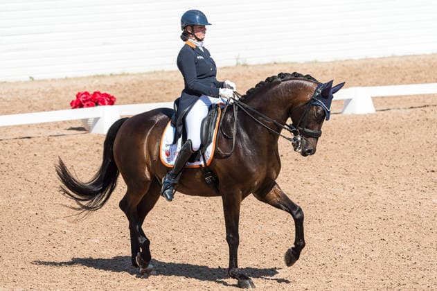 260712 Marsja Dijkman of Netherlands with horse Beaujolais competes in FEI Grand Prix Kür during the Falsterbo Horse Show on July 12, 2026 in Falsterbo. Photo: Christian Örnberg BILDBYRAN COP 166 CO0712 ridsport equestrian falsterbo horse show ridsportlaget bbeng fei grand prix kür *** 260712 Marsja Dijkman of the Netherlands, riding Beaujolais, competes in the FEI Grand Prix Kür during the Falsterbo Horse Show on July 12, 2026 in Falsterbo. Photo by Christian Örnberg, BILDBYRAN COP 166 CO0712 equestrian sports Falsterbo Horse Show Ridsportlaget BBENG FEI Grand Prix Kür  Copyright: CHRISTIANxÖRNBERG BB260712CO060