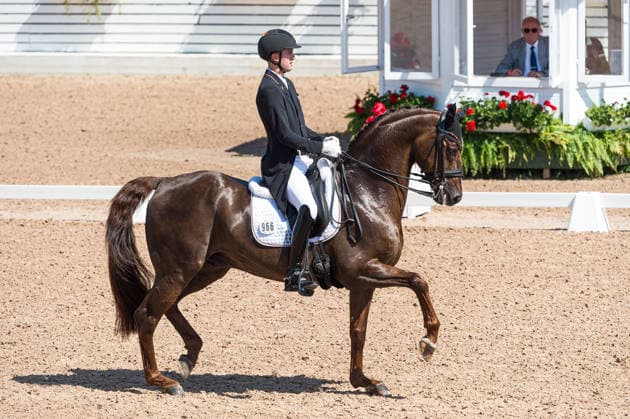 260712 Moritz Treffinger of Germany with horse Fiderdance competes in FEI Grand Prix Kür during the Falsterbo Horse Show on July 12, 2026 in Falsterbo. Photo: Christian Örnberg BILDBYRAN COP 166 CO0712 ridsport equestrian falsterbo horse show ridsportlaget bbeng fei grand prix kürtyskland germany *** July 12, 2026: Moritz Treffinger of Germany, riding Fiderdance, competes in the FEI Grand Prix Kür during the Falsterbo Horse Show on July 12, 2026 in Falsterbo. Photo by Christian Örnberg, BILDBYRAN COP 166 CO0712 equestrian sports Falsterbo Horse Show Ridsportlaget BBENG FEI Grand Prix Kür Germany  Copyright: CHRISTIANxÖRNBERG BB260712CO062