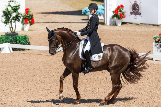 260712 Moritz Treffinger of Germany with horse Fiderdance competes in FEI Grand Prix Kür during the Falsterbo Horse Show on July 12, 2026 in Falsterbo. Photo: Christian Örnberg BILDBYRAN COP 166 CO0712 ridsport equestrian falsterbo horse show ridsportlaget bbeng fei grand prix kürtyskland germany *** July 12, 2026: Moritz Treffinger of Germany, riding Fiderdance, competes in the FEI Grand Prix Kür during the Falsterbo Horse Show on July 12, 2026 in Falsterbo. Photo by Christian Örnberg, BILDBYRAN COP 166 CO0712 equestrian sports Falsterbo Horse Show Ridsportlaget BBENG FEI Grand Prix Kür Germany  Copyright: CHRISTIANxÖRNBERG BB260712CO063