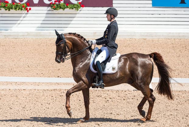 260712 Moritz Treffinger of Germany with horse Fiderdance competes in FEI Grand Prix Kür during the Falsterbo Horse Show on July 12, 2026 in Falsterbo. Photo: Christian Örnberg BILDBYRAN COP 166 CO0712 ridsport equestrian falsterbo horse show ridsportlaget bbeng fei grand prix kürtyskland germany *** July 12, 2026: Moritz Treffinger of Germany, riding Fiderdance, competes in the FEI Grand Prix Kür during the Falsterbo Horse Show on July 12, 2026 in Falsterbo. Photo by Christian Örnberg, BILDBYRAN COP 166 CO0712 equestrian sports Falsterbo Horse Show Ridsportlaget BBENG FEI Grand Prix Kür Germany  Copyright: CHRISTIANxÖRNBERG BB260712CO065