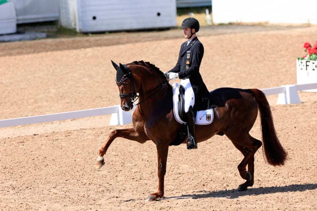 FALSTERBO, SVERIGE 20260712 Moritz Treffinger fran Tyskland rider hästen Fiderdance under söndagens FEI Grand Prix Kür under Falsterbo horse show. FALSTERBO SVERIGE x10600x *** FALSTERBO, SWEDEN 20260712 Moritz Treffinger from Germany rides the horse Fiderdance during Sunday s FEI Grand Prix Kür at the Falsterbo Horse Show FALSTERBO SWEDEN x10600x  Copyright: xAndreasxHillergren TTx FALSTERBO HORSE SHOW 2026