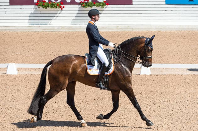 260712 Robin Bernoski of Netherlands with horse Jamaica competes in FEI Grand Prix Kür during the Falsterbo Horse Show on July 12, 2026 in Falsterbo. Photo: Christian Örnberg BILDBYRAN COP 166 CO0712 ridsport equestrian falsterbo horse show ridsportlaget bbeng fei grand prix kür *** July 12, 2026: Robin Bernoski of the Netherlands, riding Jamaica, competes in the FEI Grand Prix Kür during the Falsterbo Horse Show on July 12, 2026 in Falsterbo. Photo by Christian Örnberg, BILDBYRAN COP 166 CO0712 equestrian sports Falsterbo Horse Show Ridsportlaget BBENG FEI Grand Prix Kür  Copyright: CHRISTIANxÖRNBERG BB260712CO069