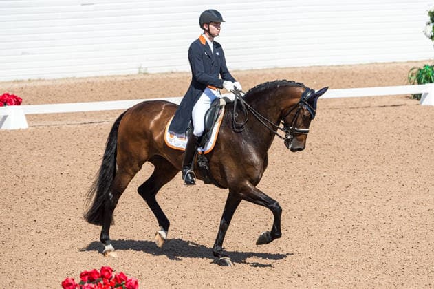 260712 Robin Bernoski of Netherlands with horse Jamaica competes in FEI Grand Prix Kür during the Falsterbo Horse Show on July 12, 2026 in Falsterbo. Photo: Christian Örnberg BILDBYRAN COP 166 CO0712 ridsport equestrian falsterbo horse show ridsportlaget bbeng fei grand prix kür *** July 12, 2026: Robin Bernoski of the Netherlands, riding Jamaica, competes in the FEI Grand Prix Kür during the Falsterbo Horse Show on July 12, 2026 in Falsterbo. Photo by Christian Örnberg, BILDBYRAN COP 166 CO0712 equestrian sports Falsterbo Horse Show Ridsportlaget BBENG FEI Grand Prix Kür  Copyright: CHRISTIANxÖRNBERG BB260712CO070