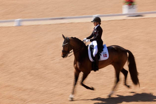 FALSTERBO, SWEDEN 20260712 Cathrine Laudrup-Dufour from Denmark rides the horse Mount St John Freestyle during Sunday s FEI Grand Prix Freestyle at the Falsterbo horse show. FALSTERBO SWEDEN x10600x *** FALSTERBO, SWEDEN, July 12, 2026 Cathrine Laudrup Dufour of Denmark rides the horse Mount St. John Freestyle during Sunday’s FEI Grand Prix Freestyle at the Falsterbo Horse Show FALSTERBO, SWEDEN x10600x  Copyright: xAndreasxHillergren TTx FALSTERBO HORSE SHOW 2026