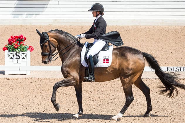 260712 Cathrine Laudrup-Dufour of Denmark with horse Mount St John Freestyle competes in FEI Grand Prix Kür during the Falsterbo Horse Show on July 12, 2026 in Falsterbo. Photo: Christian Örnberg BILDBYRAN COP 166 CO0712 ridsport equestrian falsterbo horse show ridsportlaget bbeng fei grand prix kürdanmark denmark *** July 12, 2026: Cathrine Laudrup Dufour of Denmark, riding Mount St. John, competes in the FEI Grand Prix Freestyle during the Falsterbo Horse Show on July 12, 2026 in Falsterbo. Photo by Christian Örnberg, BILDBYRAN COP 166 CO0712 equestrian sports Falsterbo Horse Show Ridsportlaget BBENG FEI Grand Prix Kür Denmark  Copyright: CHRISTIANxÖRNBERG BB260712CO076