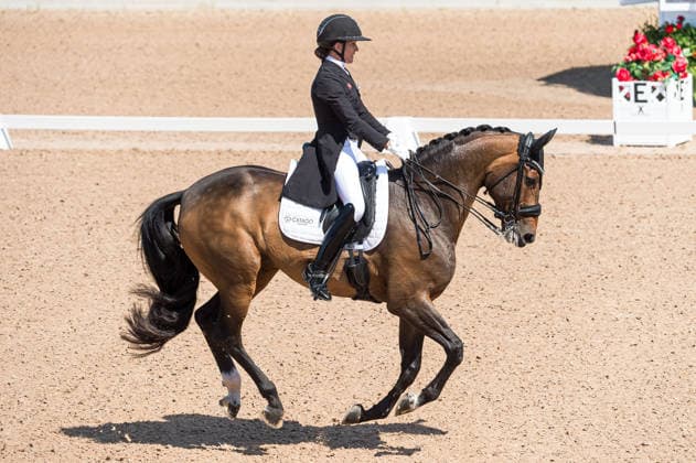 260712 Cathrine Laudrup-Dufour of Denmark with horse Mount St John Freestyle competes in FEI Grand Prix Kür during the Falsterbo Horse Show on July 12, 2026 in Falsterbo. Photo: Christian Örnberg BILDBYRAN COP 166 CO0712 ridsport equestrian falsterbo horse show ridsportlaget bbeng fei grand prix kürdanmark denmark *** July 12, 2026: Cathrine Laudrup Dufour of Denmark, riding Mount St. John, competes in the FEI Grand Prix Freestyle during the Falsterbo Horse Show on July 12, 2026 in Falsterbo. Photo by Christian Örnberg, BILDBYRAN COP 166 CO0712 equestrian sports Falsterbo Horse Show Ridsportlaget BBENG FEI Grand Prix Kür Denmark  Copyright: CHRISTIANxÖRNBERG BB260712CO078