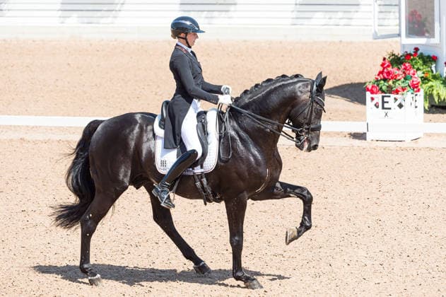 260712 Leonie Richter of Germany with horse Lord Europe competes in FEI Grand Prix Kür during the Falsterbo Horse Show on July 12, 2026 in Falsterbo. Photo: Christian Örnberg BILDBYRAN COP 166 CO0712 ridsport equestrian falsterbo horse show ridsportlaget bbeng fei grand prix kürtyskland germany *** July 12, 2026: Leonie Richter of Germany, riding Lord Europe, competes in the FEI Grand Prix Kür during the Falsterbo Horse Show on July 12, 2026 in Falsterbo. Photo by Christian Örnberg, BILDBYRAN COP 166 CO0712 equestrian sports Falsterbo Horse Show Ridsportlaget BBENG FEI Grand Prix Kür Germany  Copyright: CHRISTIANxÖRNBERG BB260712CO082