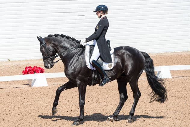 260712 Leonie Richter of Germany with horse Lord Europe competes in FEI Grand Prix Kür during the Falsterbo Horse Show on July 12, 2026 in Falsterbo. Photo: Christian Örnberg BILDBYRAN COP 166 CO0712 ridsport equestrian falsterbo horse show ridsportlaget bbeng fei grand prix kürtyskland germany *** July 12, 2026: Leonie Richter of Germany, riding Lord Europe, competes in the FEI Grand Prix Kür during the Falsterbo Horse Show on July 12, 2026 in Falsterbo. Photo by Christian Örnberg, BILDBYRAN COP 166 CO0712 equestrian sports Falsterbo Horse Show Ridsportlaget BBENG FEI Grand Prix Kür Germany  Copyright: CHRISTIANxÖRNBERG BB260712CO083