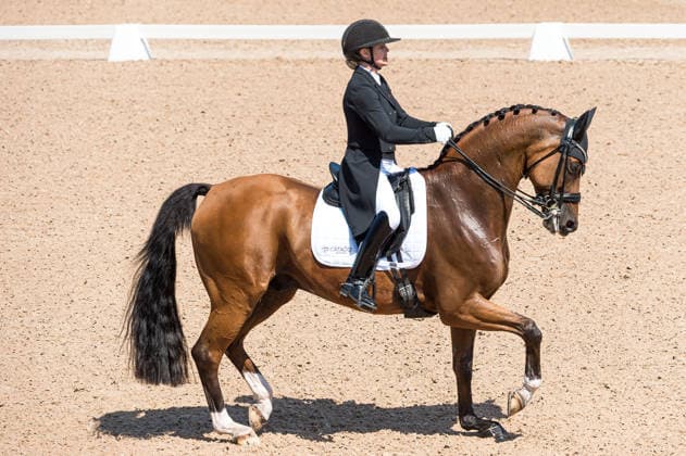 260712 Anna Zibrandtsen of Denmark with horse Quel Filou competes in FEI Grand Prix Kür during the Falsterbo Horse Show on July 12, 2026 in Falsterbo. Photo: Christian Örnberg BILDBYRAN COP 166 CO0712 ridsport equestrian falsterbo horse show ridsportlaget bbeng fei grand prix kürdanmark denmark *** July 12, 2026: Anna Zibrandtsen of Denmark, riding Quel Filou, competes in the FEI Grand Prix Kür during the Falsterbo Horse Show on July 12, 2026 in Falsterbo. Photo by Christian Örnberg, BILDBYRAN COP 166 CO0712 equestrian sports Falsterbo Horse Show Ridsportlaget BBENG FEI Grand Prix Kür Denmark  Copyright: CHRISTIANxÖRNBERG BB260712CO087